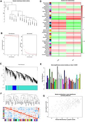 The Roles of Blood Lipid-Metabolism Genes in Immune Infiltration Could Promote the Development of IDD